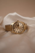 Bild in Galerie-Betrachter laden, Omega Seamaster Day-Date 168.032/168.023 Service 11/23
