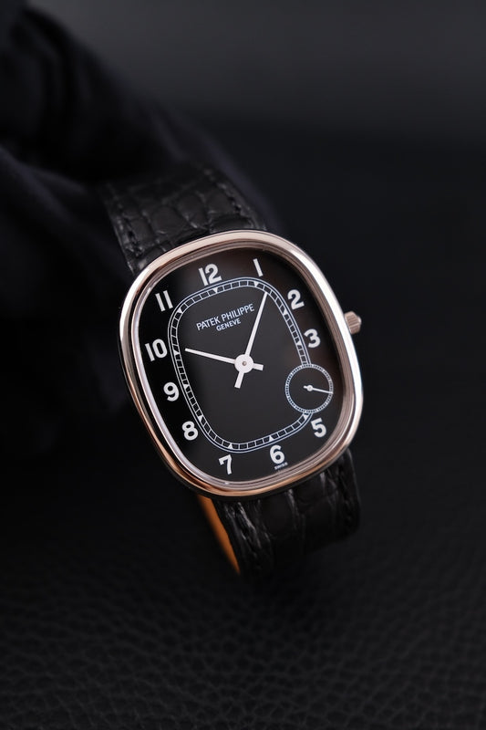 Patek Philippe Ellipse 5028G-001 - Thumbnail