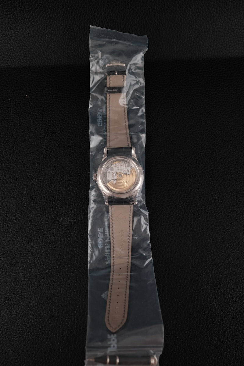 Patek Philippe Annual Calendar 5205G-010 - Detail view 4