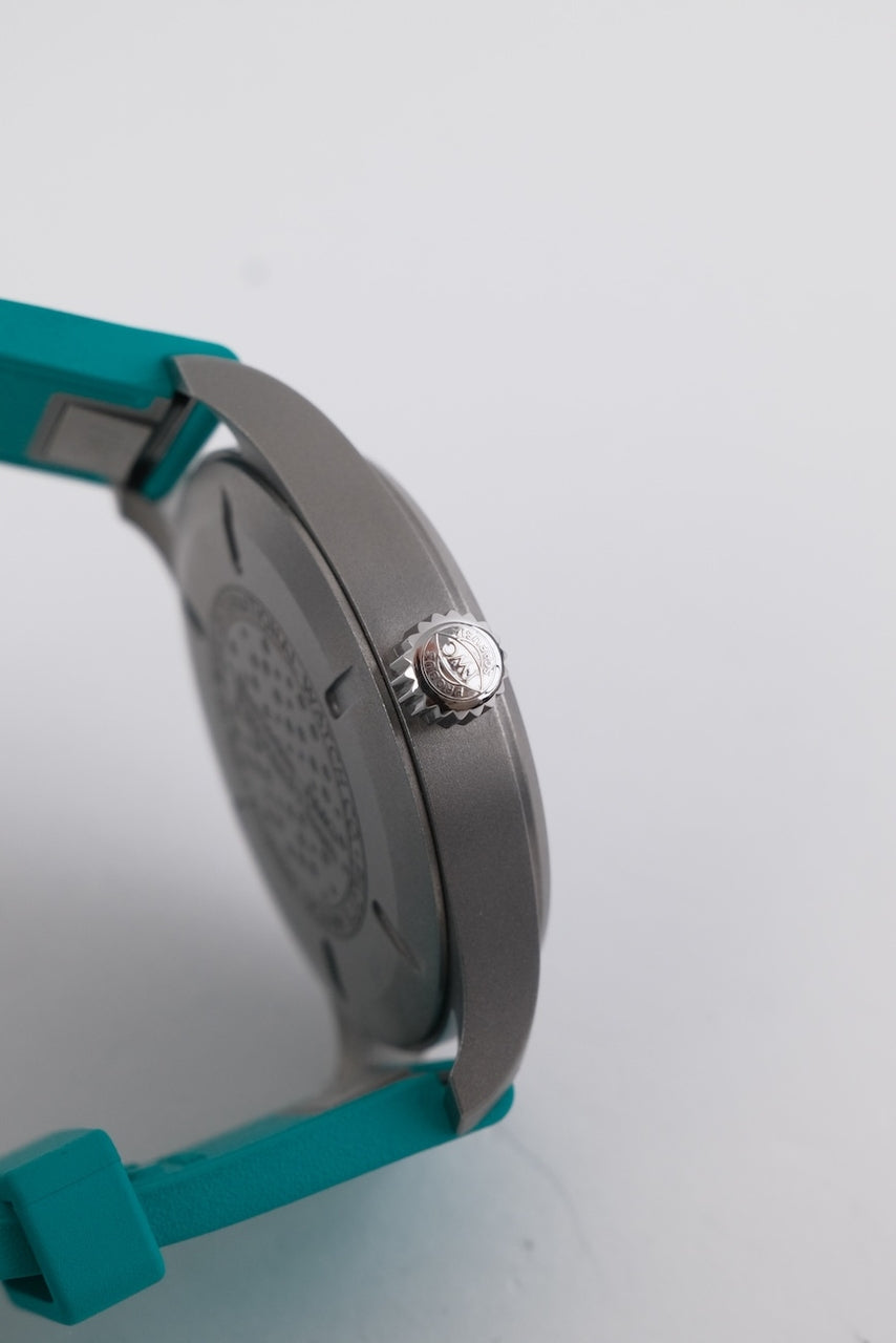 IWC Pilot Mark XX IW328210 - Detail view 6